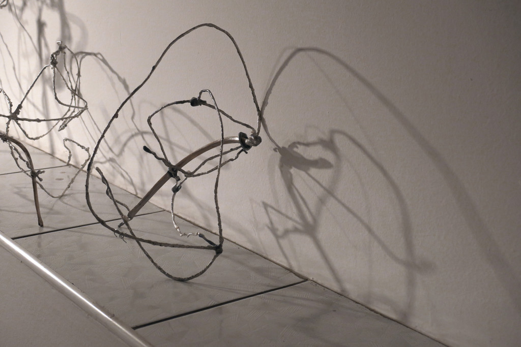 Cellular Collection 1_Wire Sculptures Detail